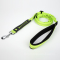 Nylon Pet Dog Correa con gancho